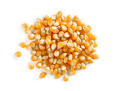 Corson Specs Popcorn | Corson
